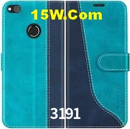 Login Seguro 3191